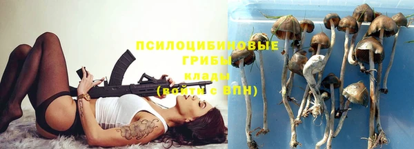 бошки Аркадак