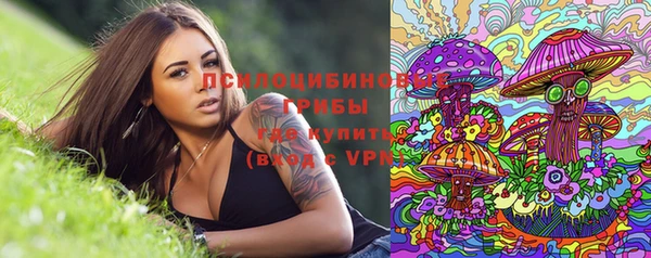 молекула духа Алексеевка